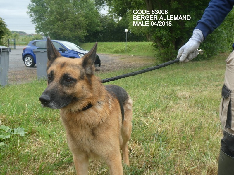CODE 83008